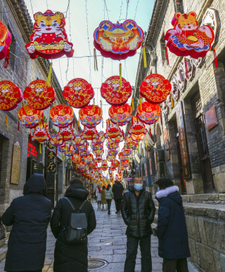 虎年老虎锦鲤灯笼实拍图