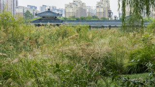 郊外湖边古式建筑长廊高清图