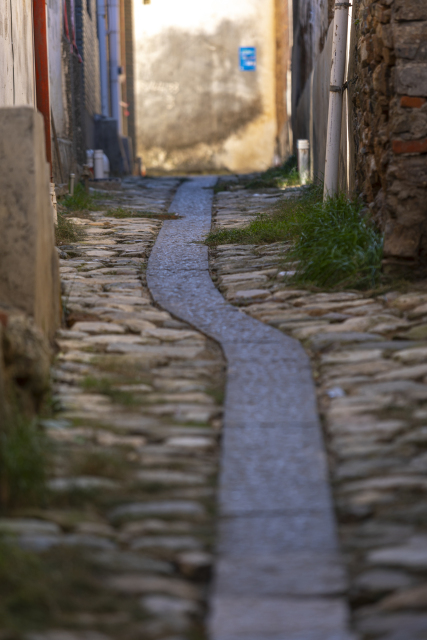 山间小路特写实拍图