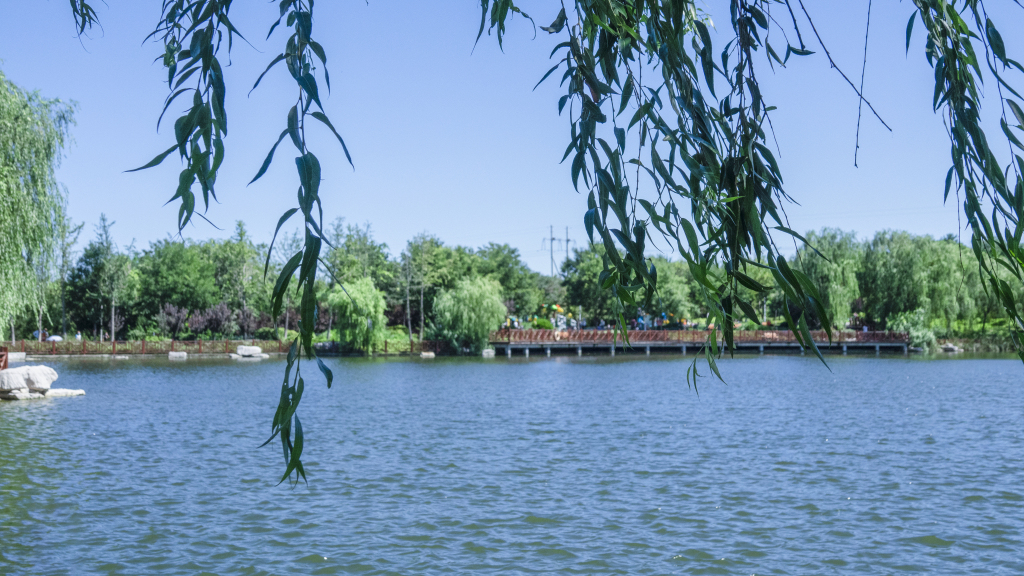 湖心公园自然清新蓝色湖面高清图