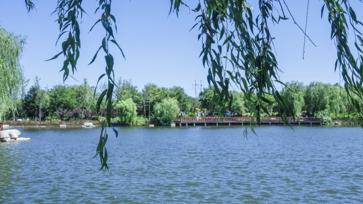 湖心公园自然清新蓝色湖面高清图版权图片下载