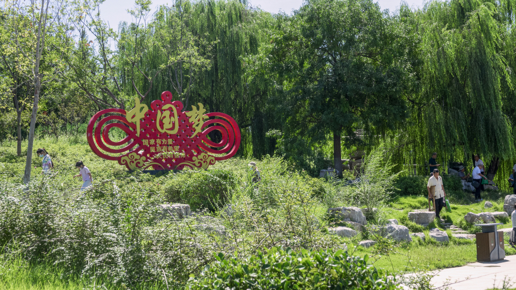 夏季公园草地景观自然高清图版权图片下载