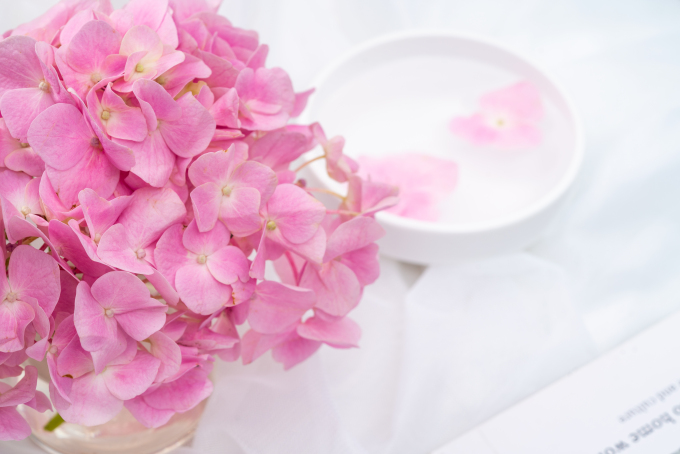 粉色鲜花花瓣特写镜头图片