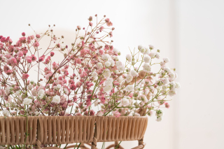 粉白色满天星绳编框摆件实拍图