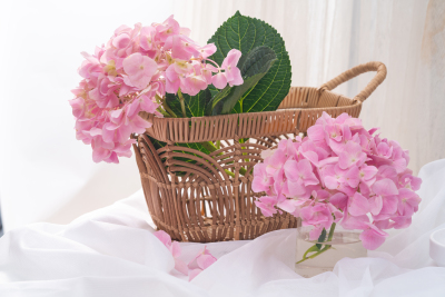 浪漫粉色花朵绣球花图片