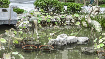 花园小区荷花池铜鹤雕塑高清图