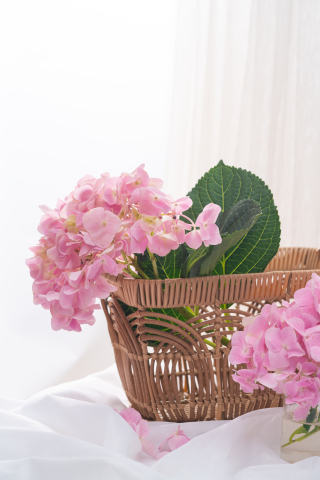 粉色鲜花近景特写实拍图