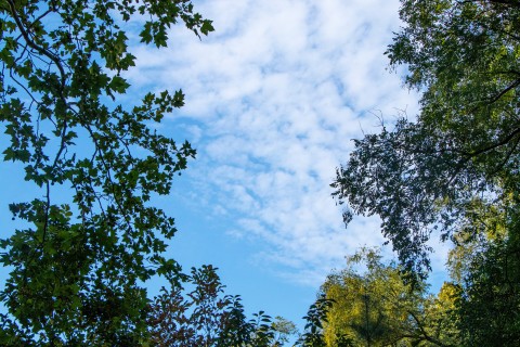 蓝天白云公园风景实拍图