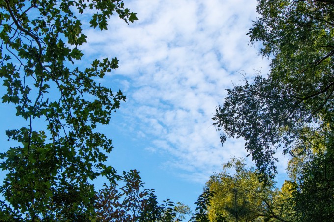 蓝天白云公园风景实拍图版权图片下载