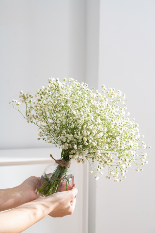 手捧洁白的满天星鲜花实拍图