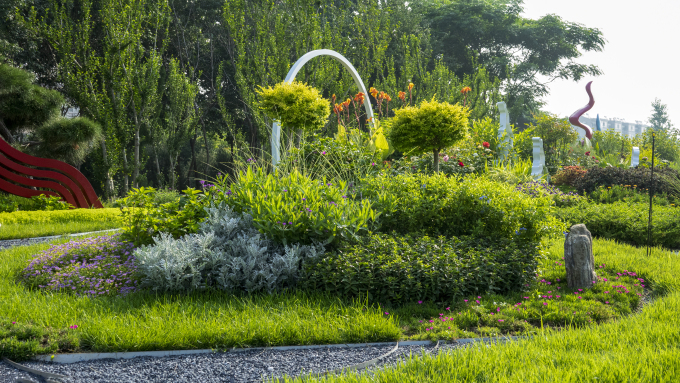 枝繁叶茂夏季植物高清图