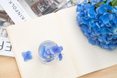 蓝色绣球花实拍高清图