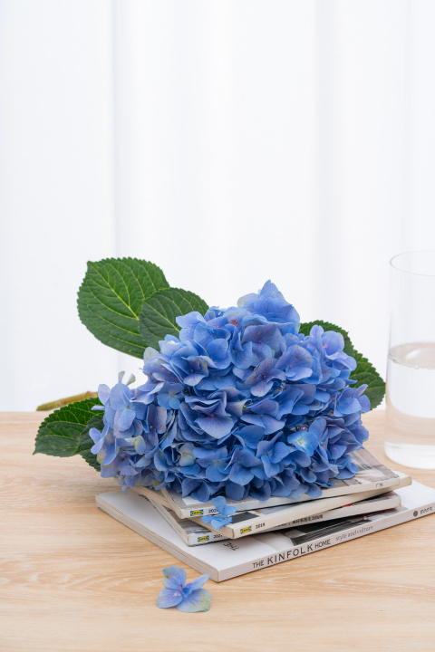 书本上的蓝色花束高清图版权图片下载