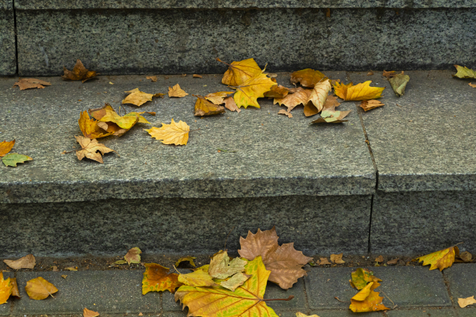 台阶上掉落的树叶实拍图