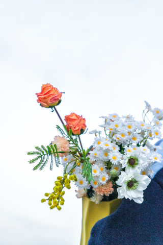 一束漂亮的花花实拍图