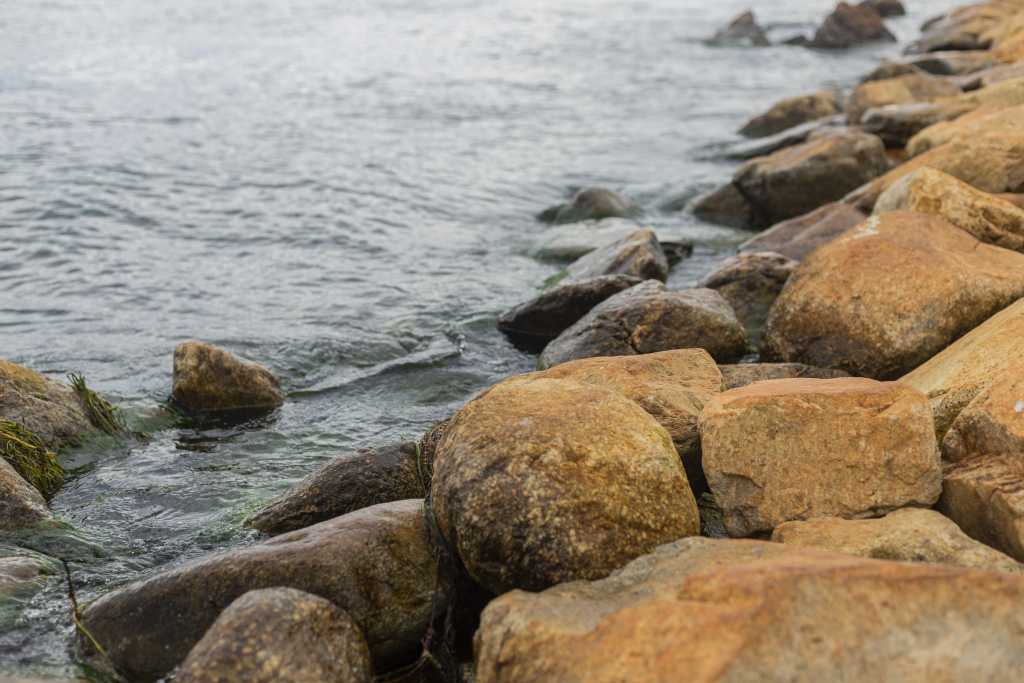 海边石头上绿色藻类实拍图版权图片下载