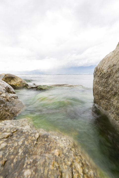 光滑的岩石旁藻类高清图版权图片下载