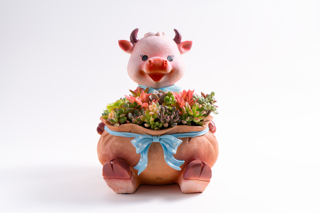 卡通小猪盆栽多肉高清图版权图片下载