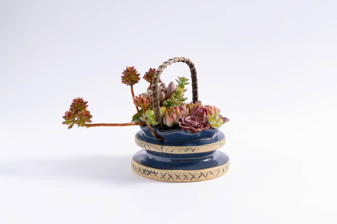 景观植物桌面盆栽实拍图