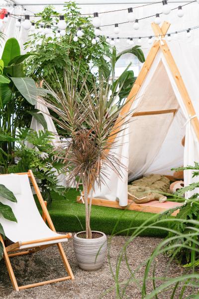 绿色植物帐篷悠闲环境实拍图