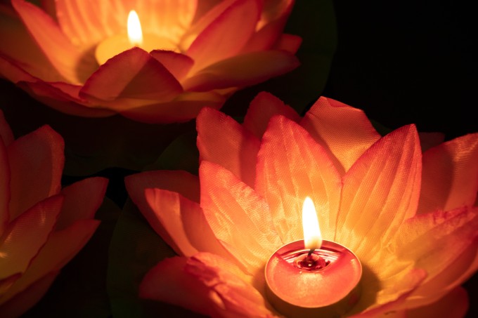 荷花花灯中元节祈愿实拍图