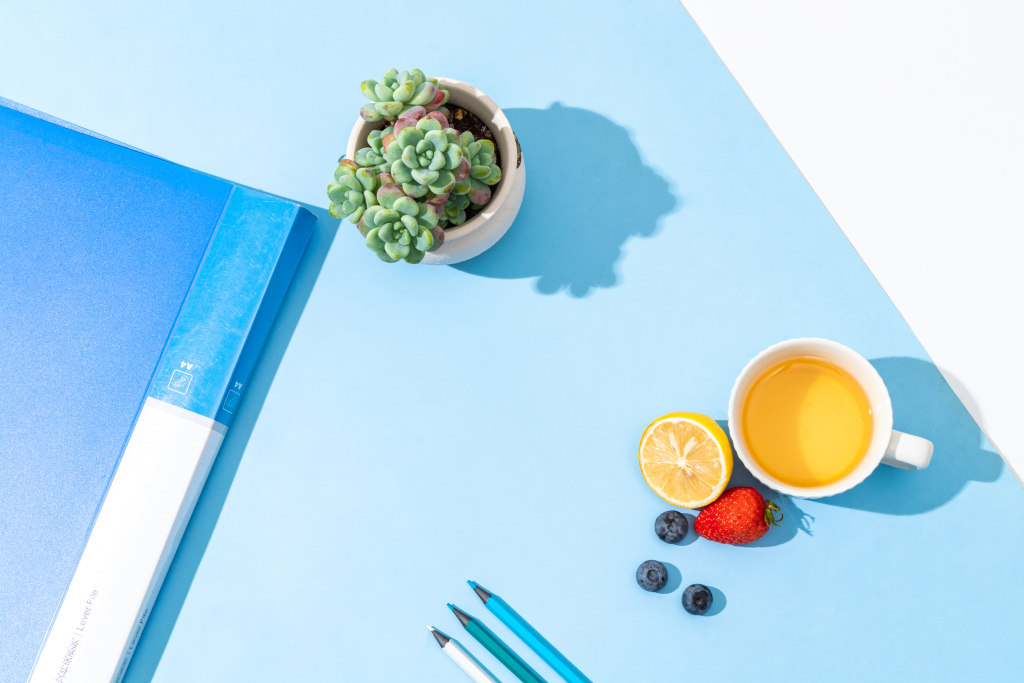 绿色多肉室内办公室实拍图版权图片下载