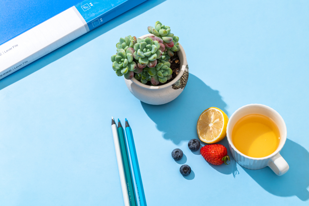 绿植清新工作轻松氛围实拍图版权图片下载