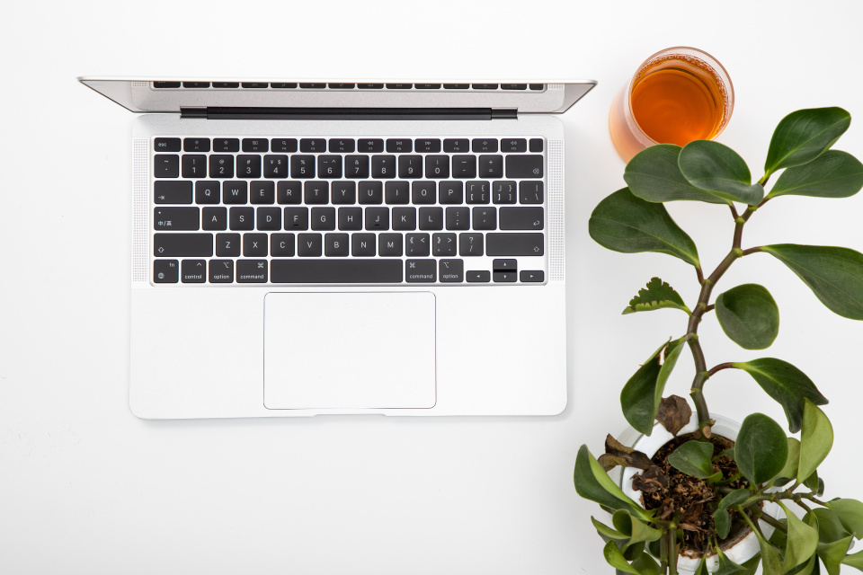 商务办公电脑绿植摆件高清图