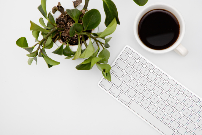 护眼绿植办公用具高清图