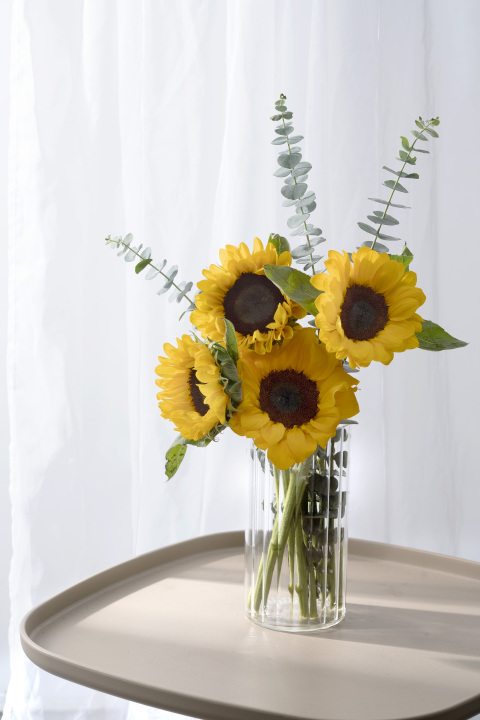 向日葵漂亮的黄色花瓣高清图版权图片下载