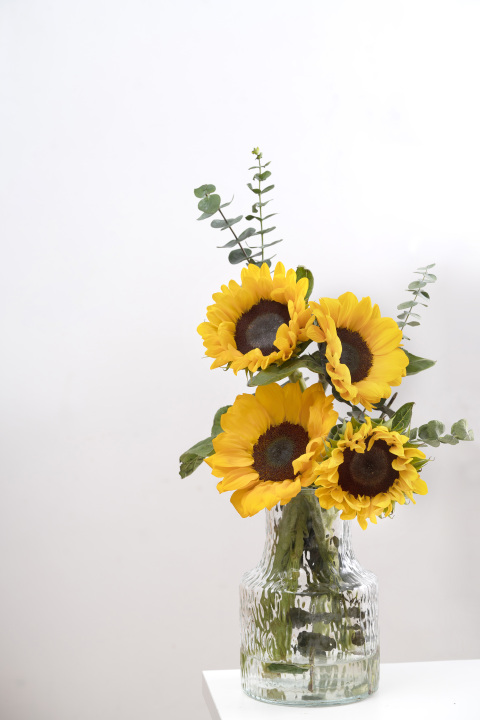漂亮的插花向日葵花束实拍图版权图片下载