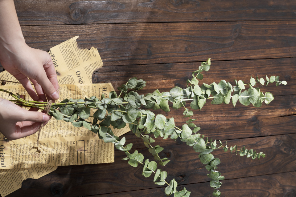 尤加利叶干花花束俯拍高清图