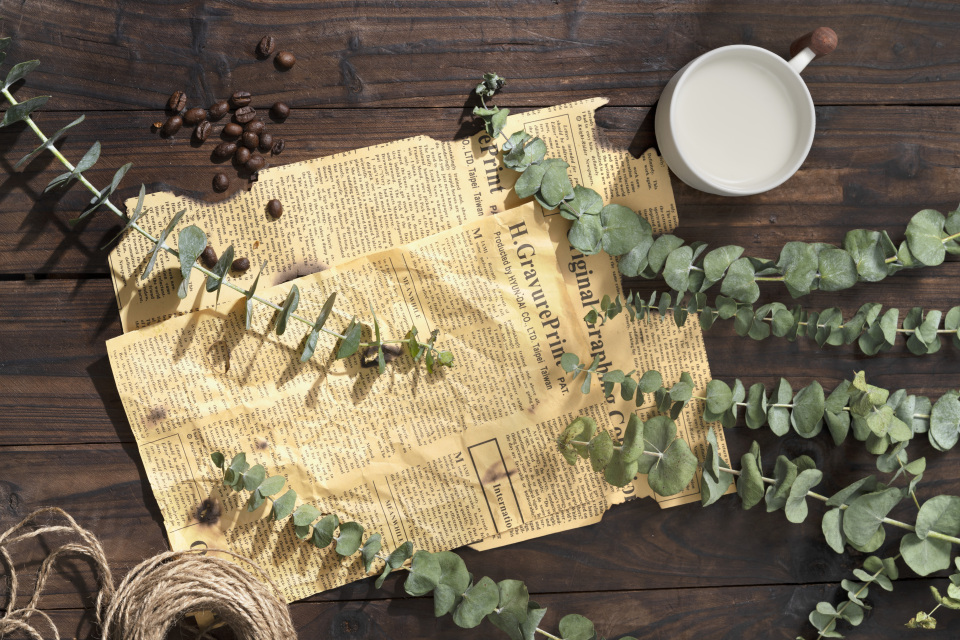 尤加利叶鲜花包装纸高清图