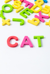 儿童字母积木拼写小猫实拍图