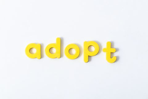 儿童启蒙黄色字母玩具实拍图