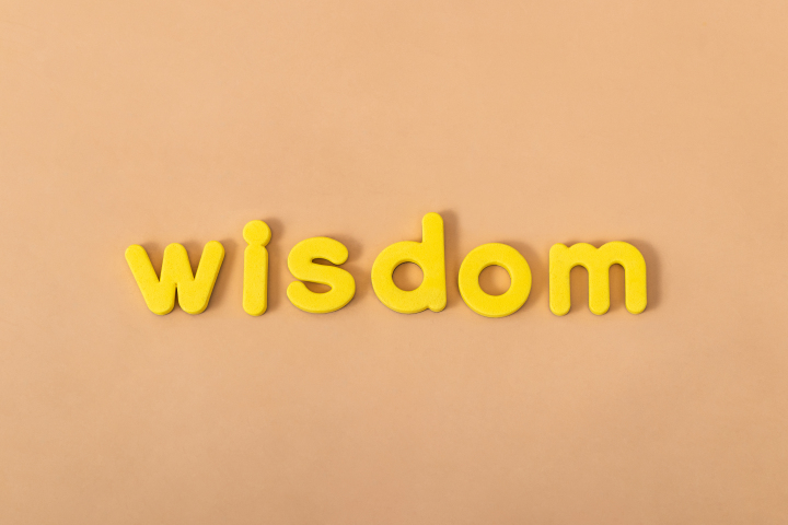 wisdom英文单词积木工具图版权图片下载