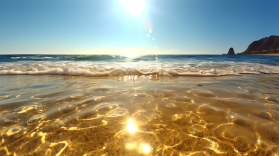 阳光下金色沙滩清澈海水图片
