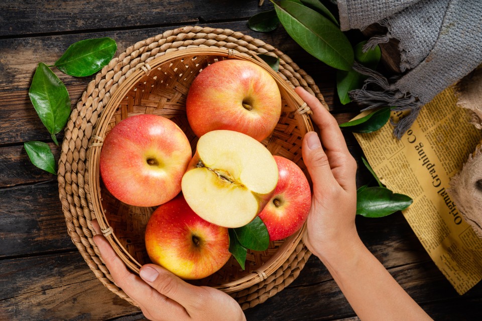 刚从果园里摘来的苹果高清图