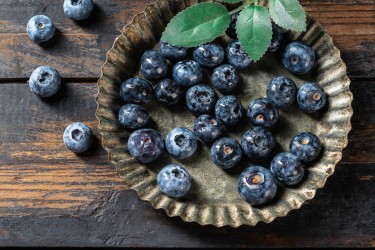 精品蓝莓大果高清图