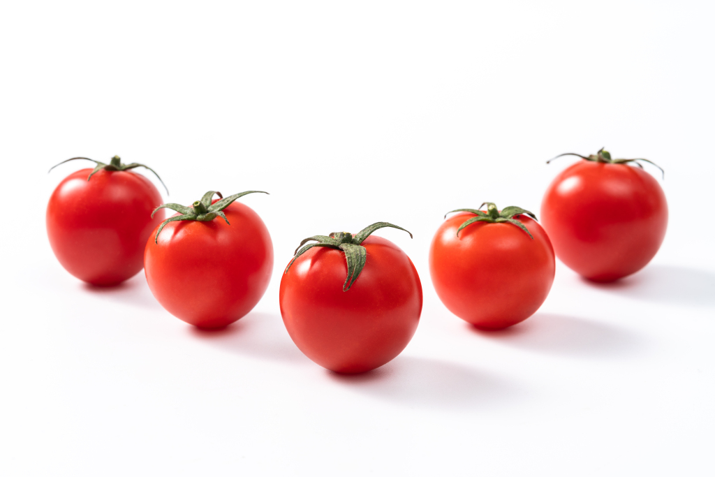 云南新鲜千禧圣女果版权图片下载