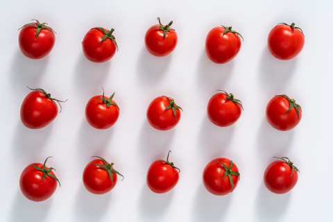 均匀摆放的红色小番茄图片