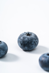 云南特产蓝莓水果图片