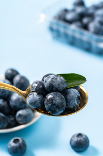 特级蓝莓鲜果实拍图