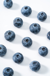 均匀排列的大颗蓝莓高清图