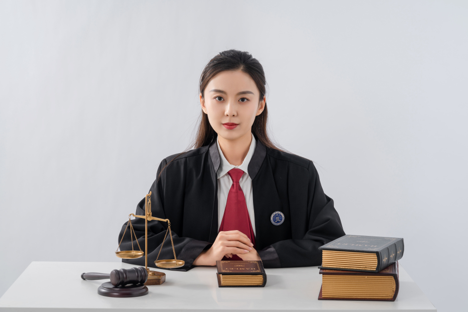 大气温柔女律师形象图