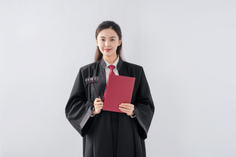 法律公平公正宣传图