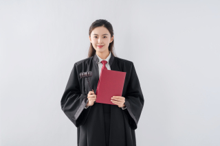 法律公平公正宣传图