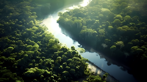 自然景观绿林飞渡宽河航拍摄影图