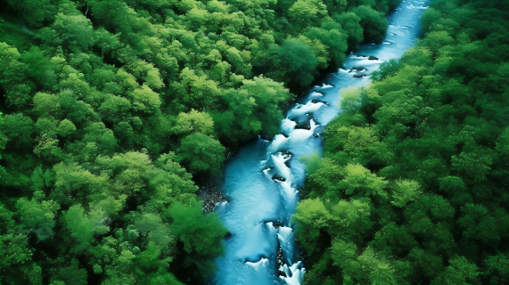 翠绿森林中流淌的河流摄影图片