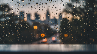 雨滴悄然落下城市树林间高清图